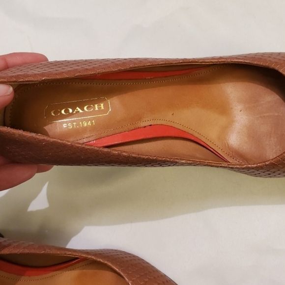 Coach reptile print with classic signature "C" signature logo. - Picture 4 of 6